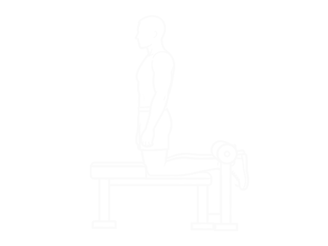 Inverse Leg Curl (Bench Support) — Start