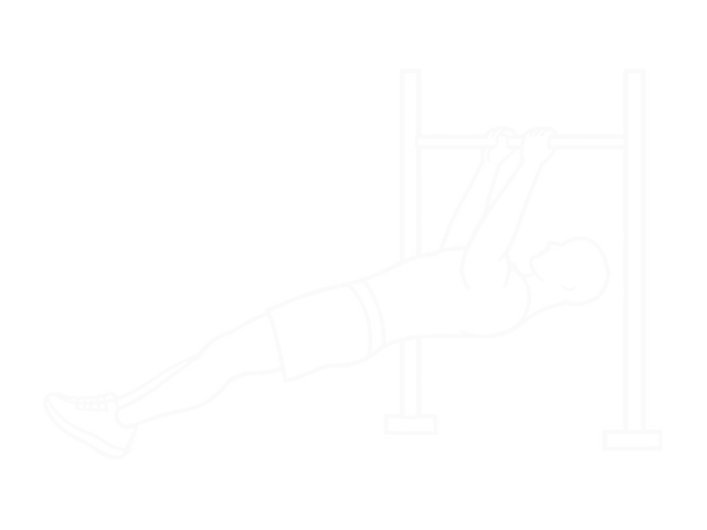 Inverted Row — Start