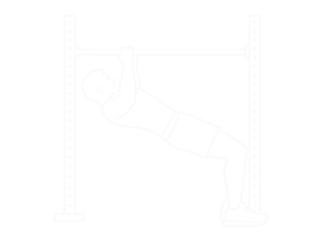Inverted Row Bent Knees — End