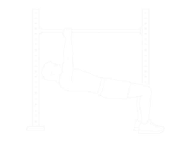 Inverted Row Bent Knees — Start
