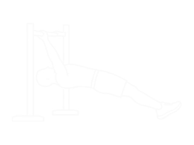 Inverted Row on Bench — Start