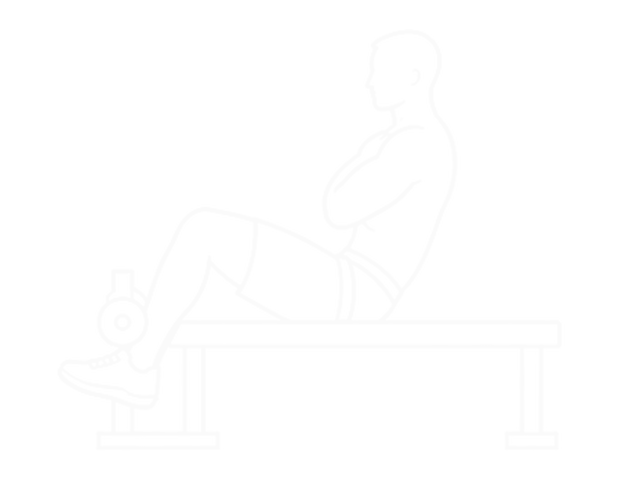Janda Sit-Up — End