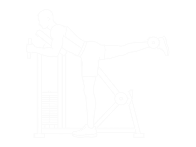 Hip Extension — 시작