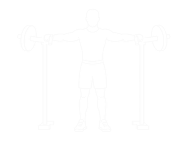 Lateral Raise Machine — End