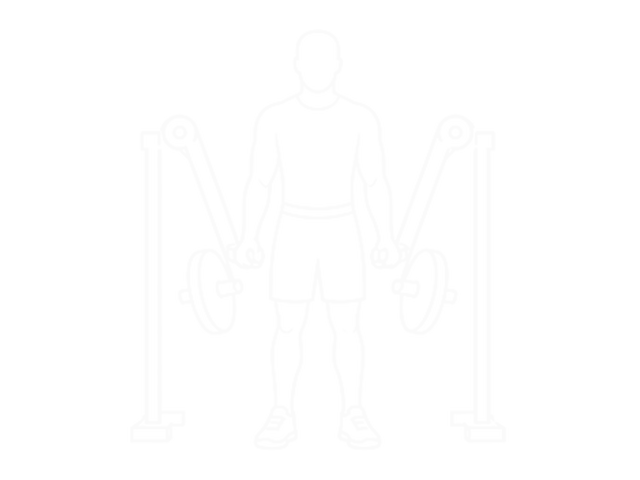 Lateral Raise Machine — Start