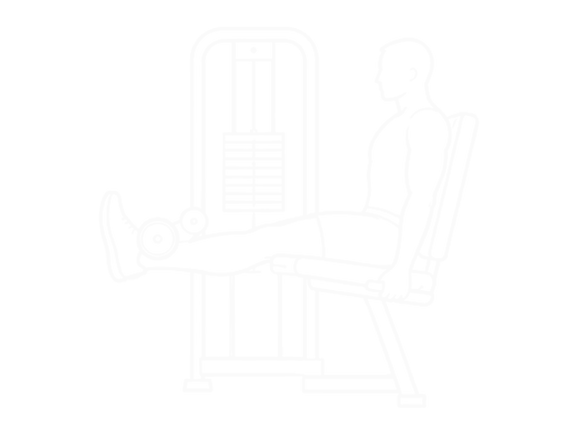 Leg Extension Machine — 끝