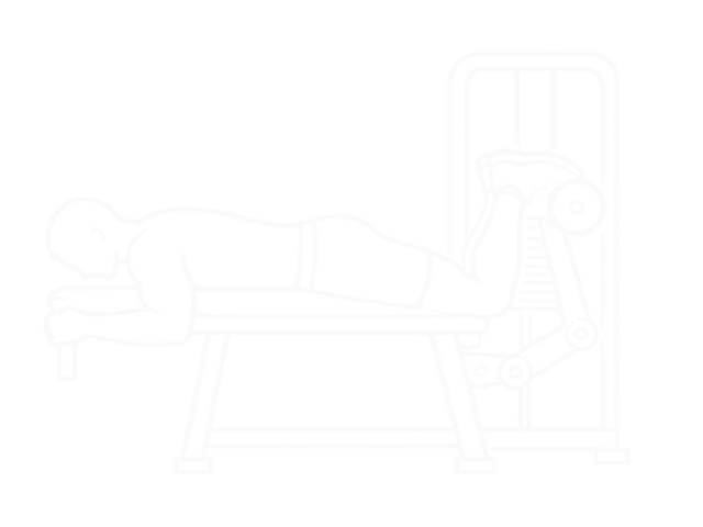 Lying Two-One Leg Curl — End