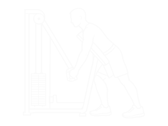One-Arm Bent Over Row — Start