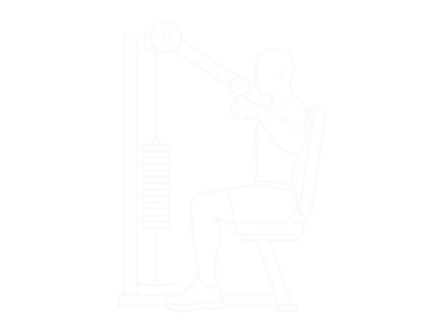 Overhand Triceps Dip — Start
