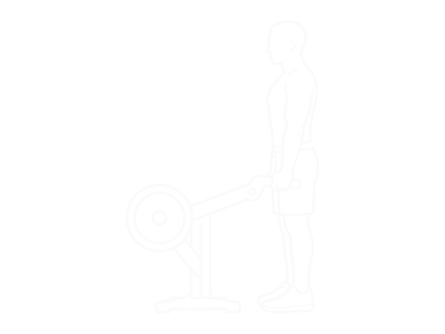 Preacher Curl Machine — Start
