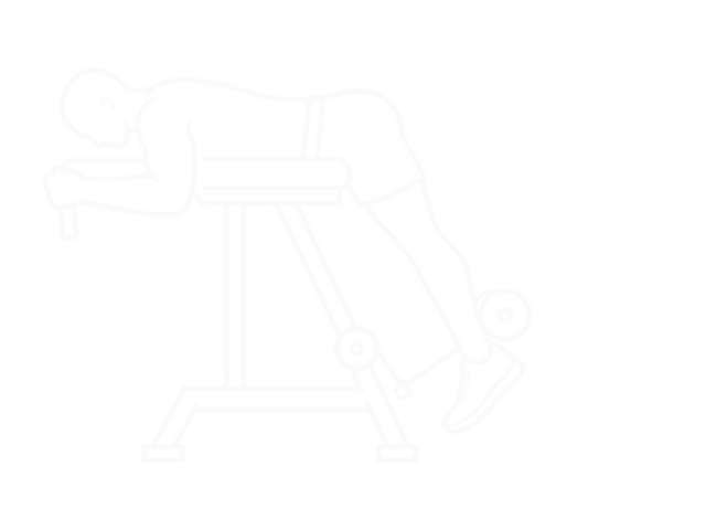Reverse Hyperextension — Start