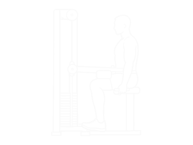 Seated Calf Raise Machine — Start