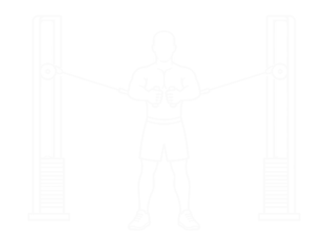 Seated Fly — End