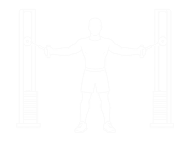 Seated Fly — Start