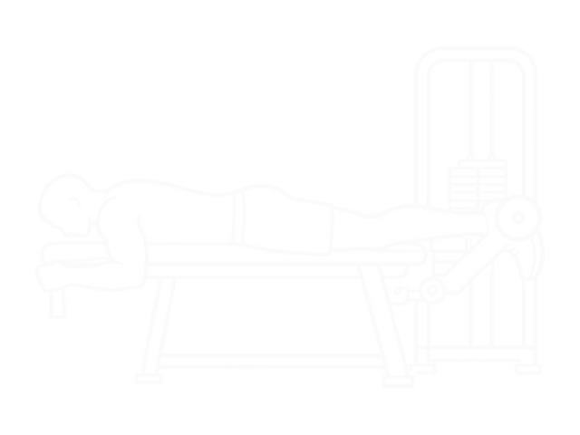 Seated Leg Curl Machine — Start