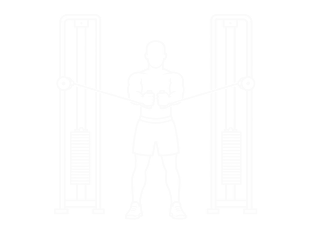 Seated Reverse Fly — End