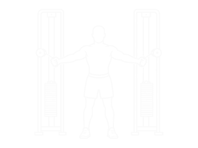 Seated Reverse Fly — Start
