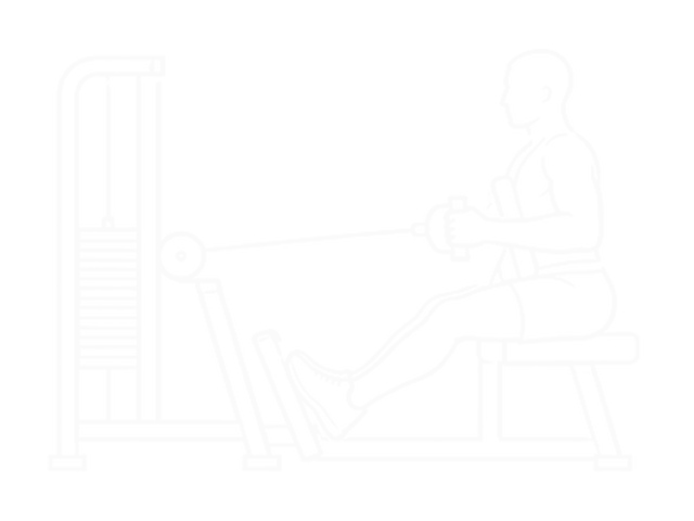Seated Row — End