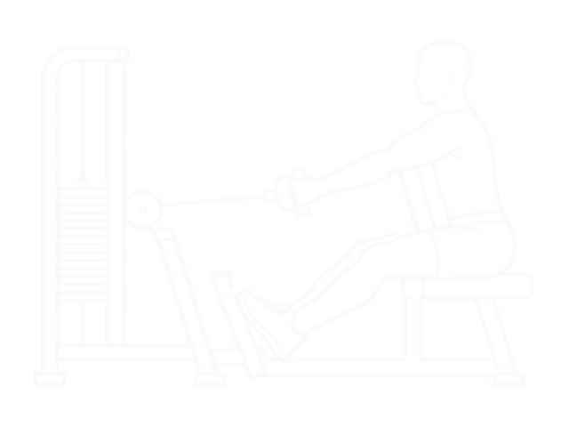 Seated Row — Start