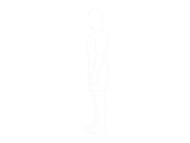 Lunge — Start