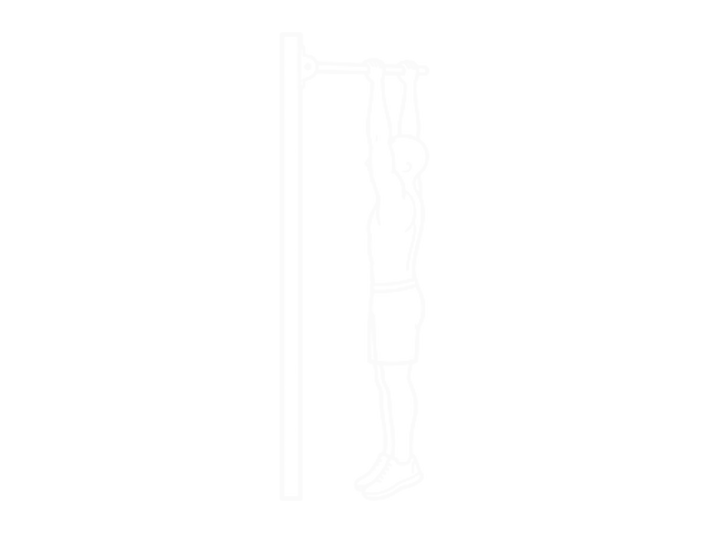 Muscle Up 시범 동작