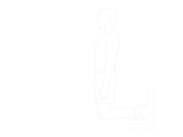 Nordic Hamstring Curl — Start