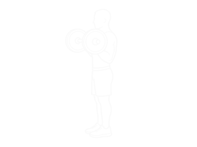 Olympic Barbell Hammer Curl — 끝