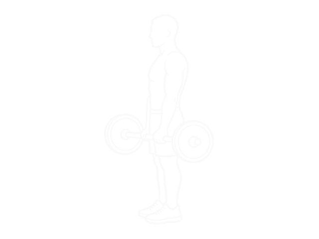 Olympic Barbell Hammer Curl — 시작