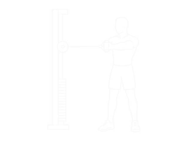 Pallof Press — End