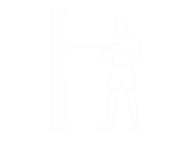 Pallof Press — Start