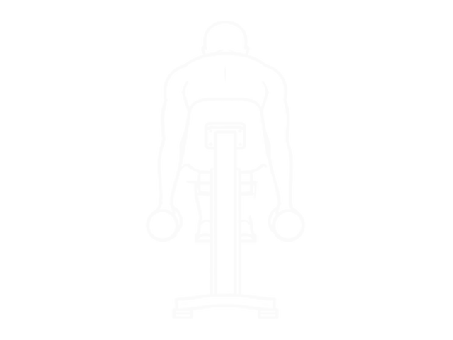 Prone T's, Y's, and I's — Start