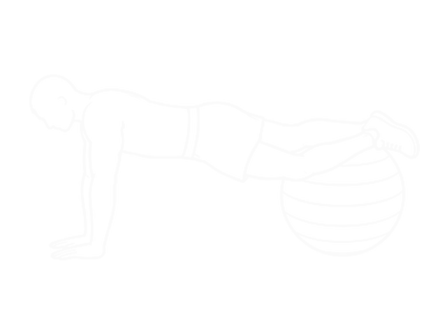 Prone Twist on Stability Ball — 끝