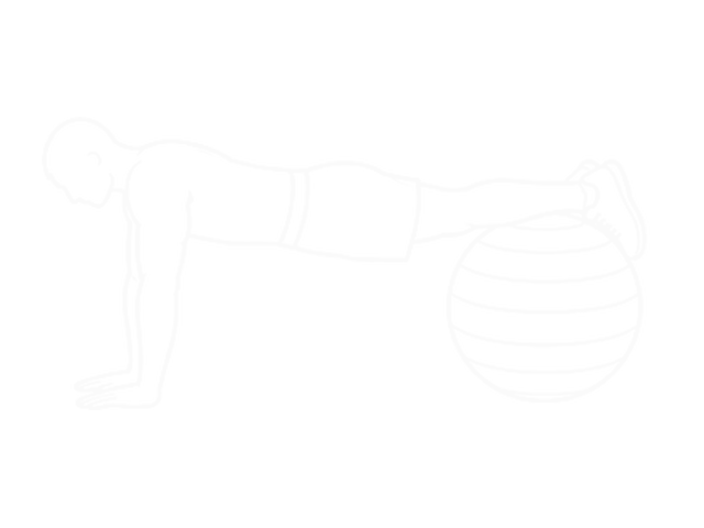 Prone Twist on Stability Ball — 시작