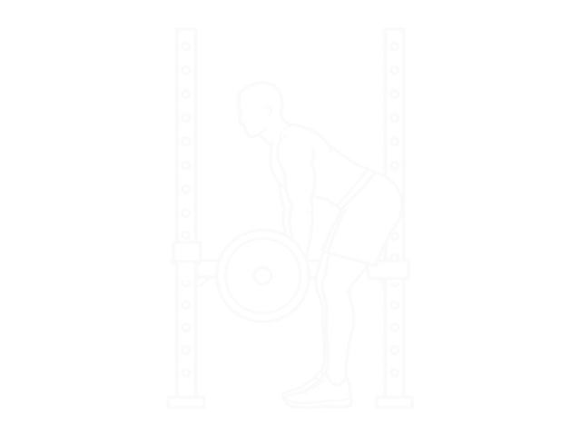 Rack Pull — Start