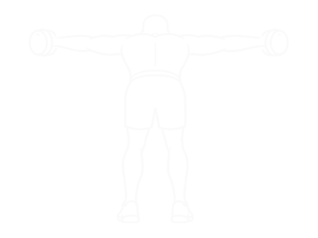 Rear Delt Fly — End