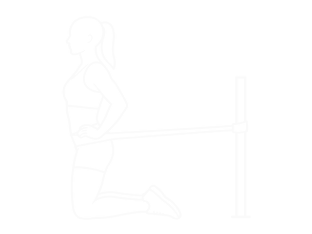 Resistance Band Hip Thrusts on Knees — Start