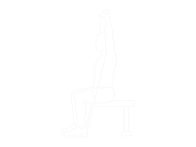Resistance Band Seated Shoulder Press — End