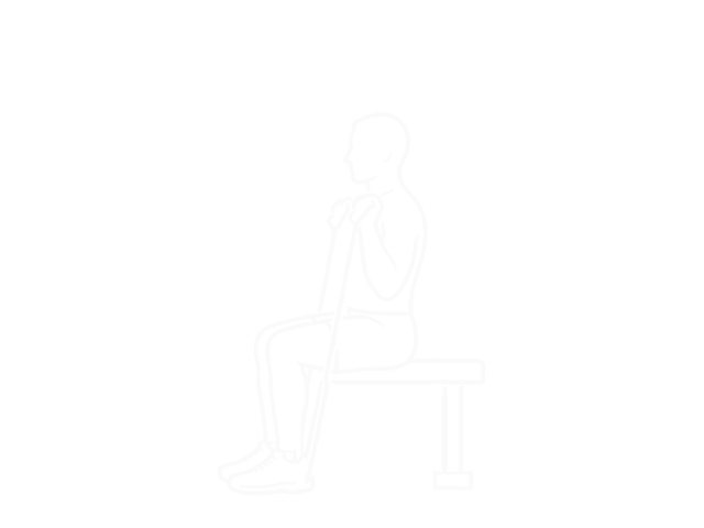 Resistance Band Seated Shoulder Press — Start