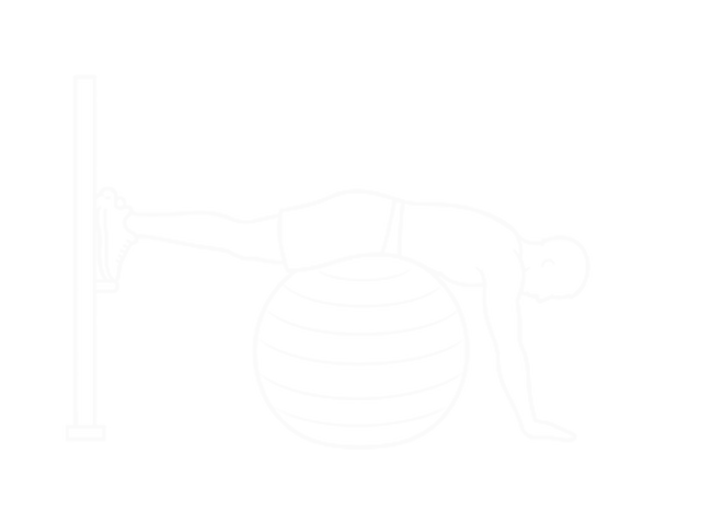 Reverse Hyper Extension (On Stability Ball) — Start