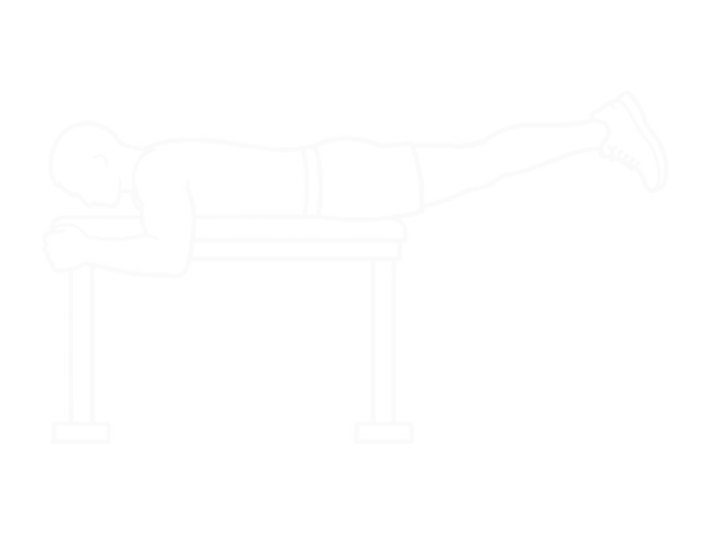 Reverse Hyper on Flat Bench — End
