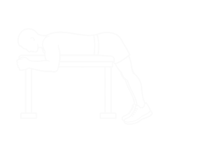 Reverse Hyper on Flat Bench — Start