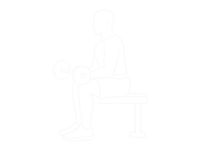 Reverse Wrist Curl — End