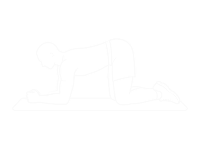 Rocking Frog Stretch — Start