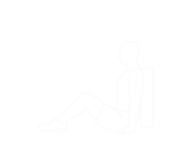 Roller Seated Shoulder Flexor Depresor Retractor — 시작