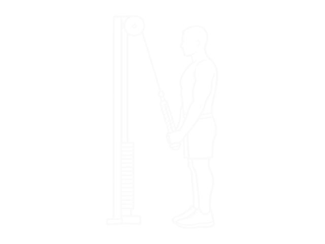 Cable Triceps Pushdown (Rope) — End