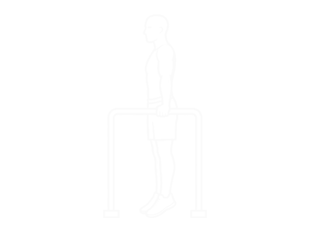 Scapula Dips — End
