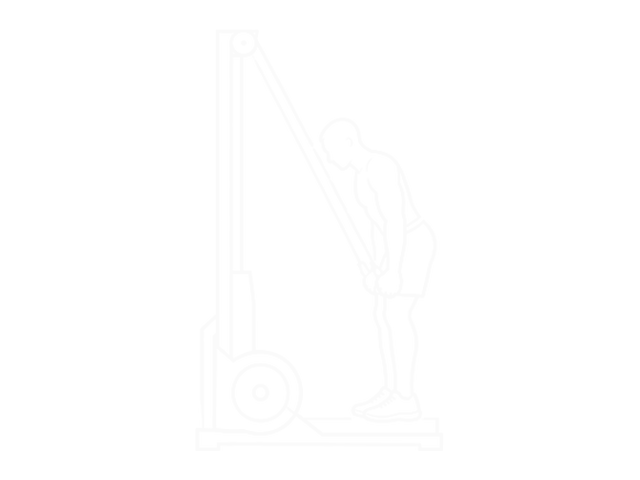 Ski Erg — End