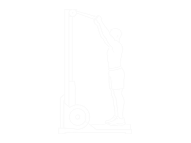 Ski Erg — Start