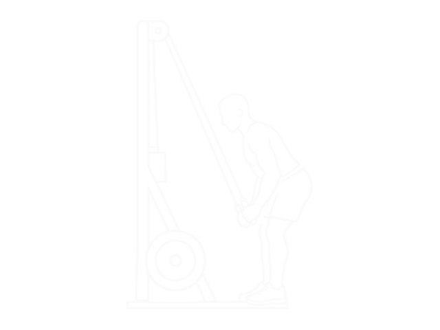 Ski Ergometer — End