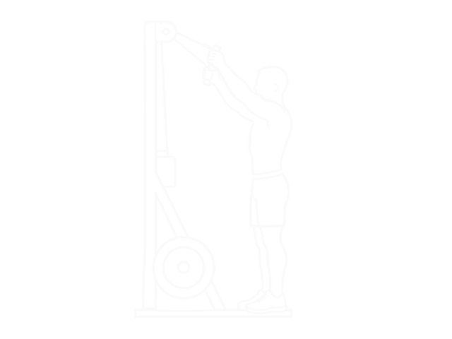 Ski Ergometer — Start
